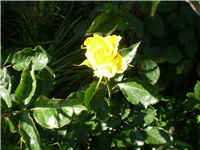 2790dadd-Picture 4183.jpg